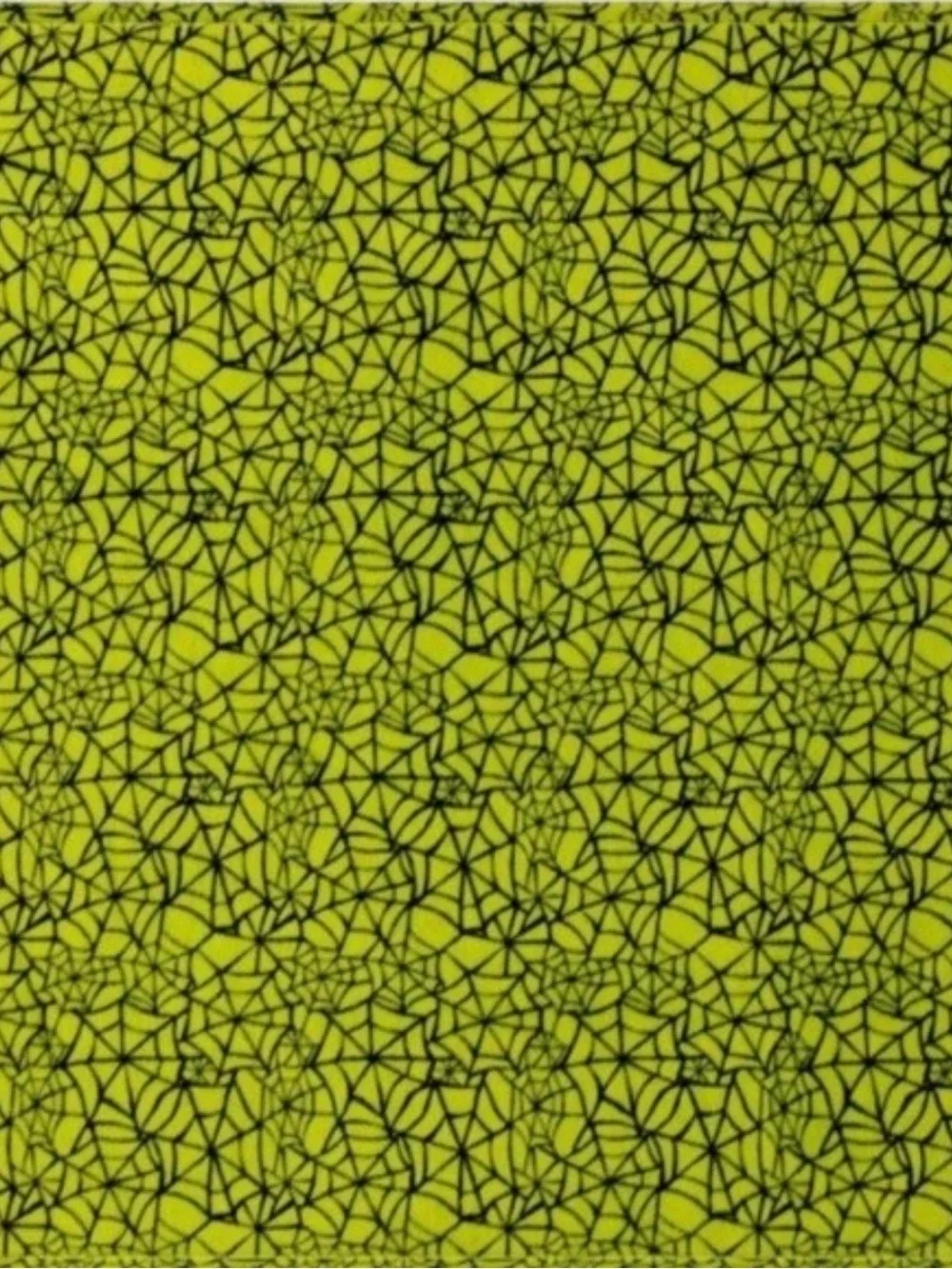Not for Sale” (No disponible). Hyde & EEK! Neon Green Spiderweb P